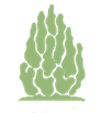 Yew Tree Psychotherapy Yew Tree Psychotherapy