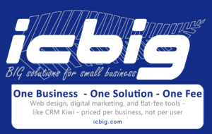 icbig info logo 300x190